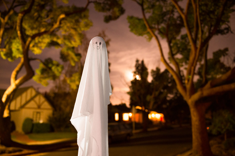 Illustration for article titled 8 Photos Of Your Halloween Antics